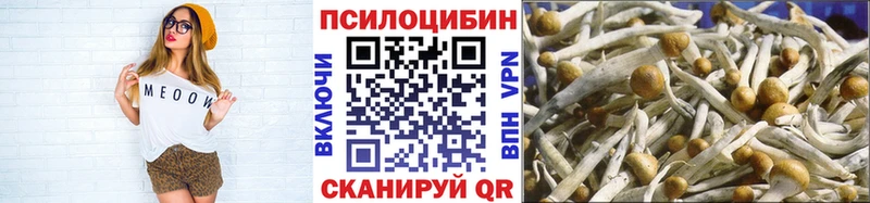Псилоцибиновые грибы Psilocybine cubensis  Устюжна 