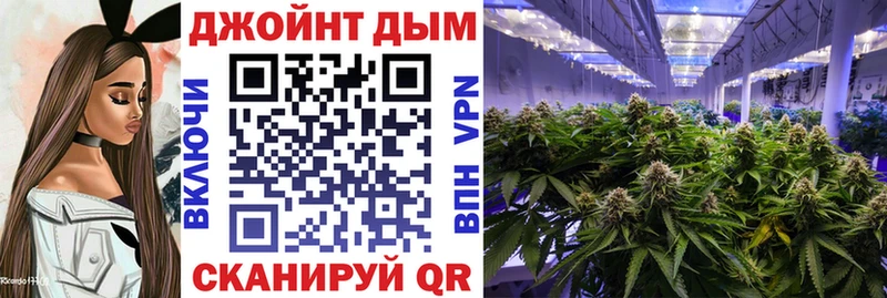 Канабис Amnesia  купить наркоту  Устюжна 